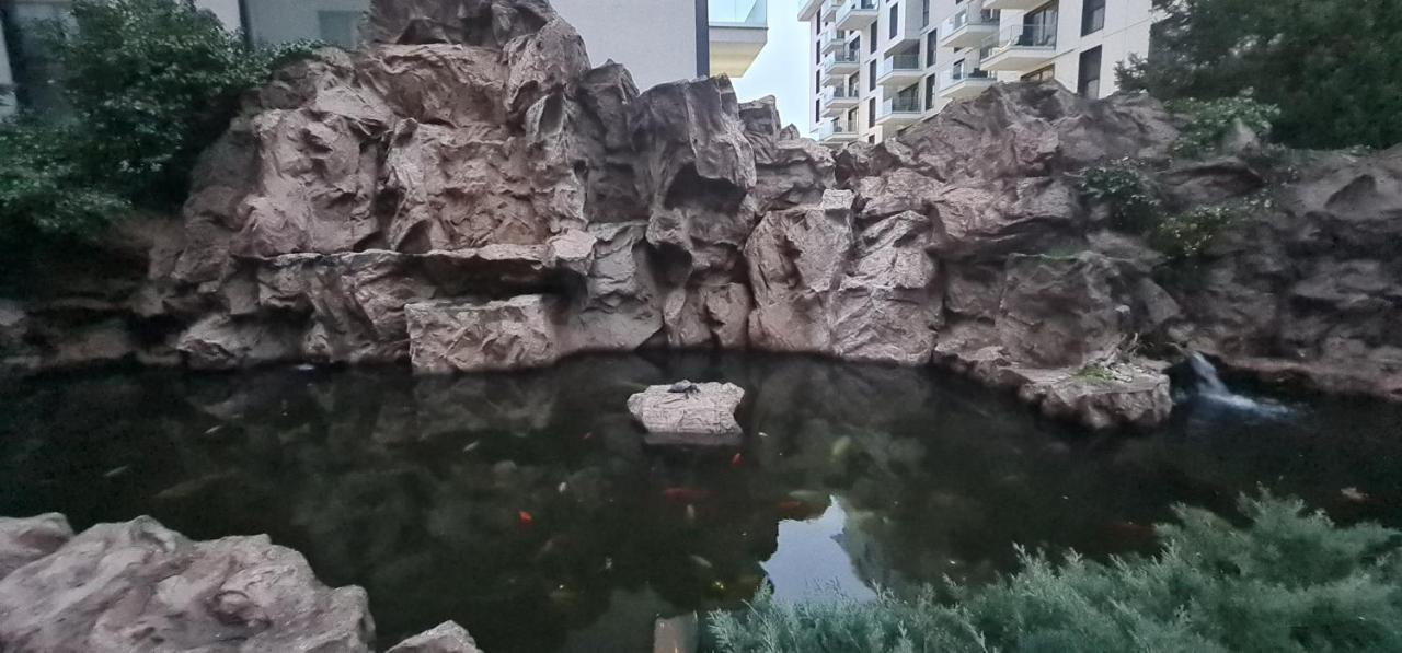 Garden Oasis Studio Bucureşti Ngoại thất bức ảnh