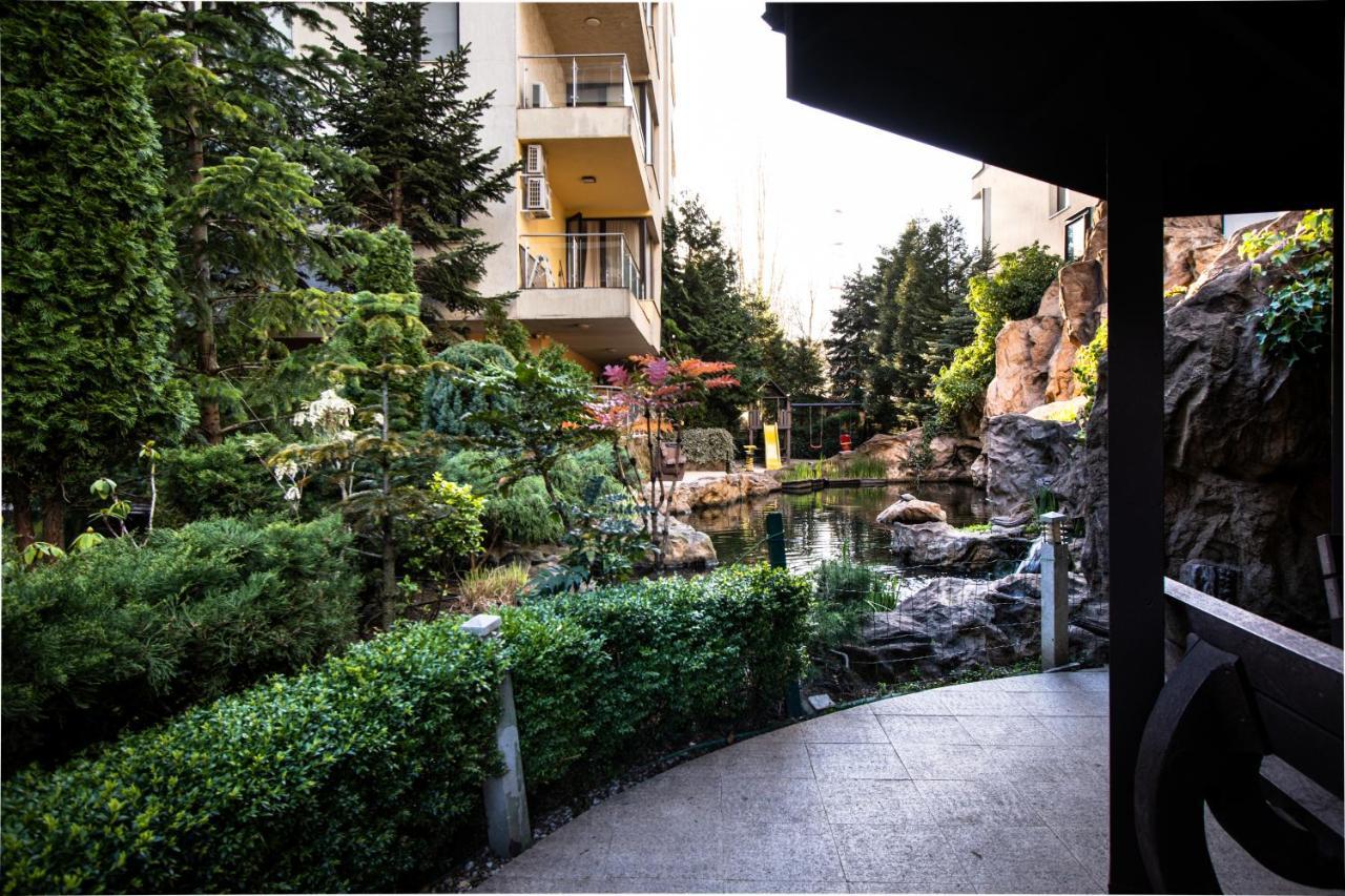 Garden Oasis Studio Bucureşti Ngoại thất bức ảnh